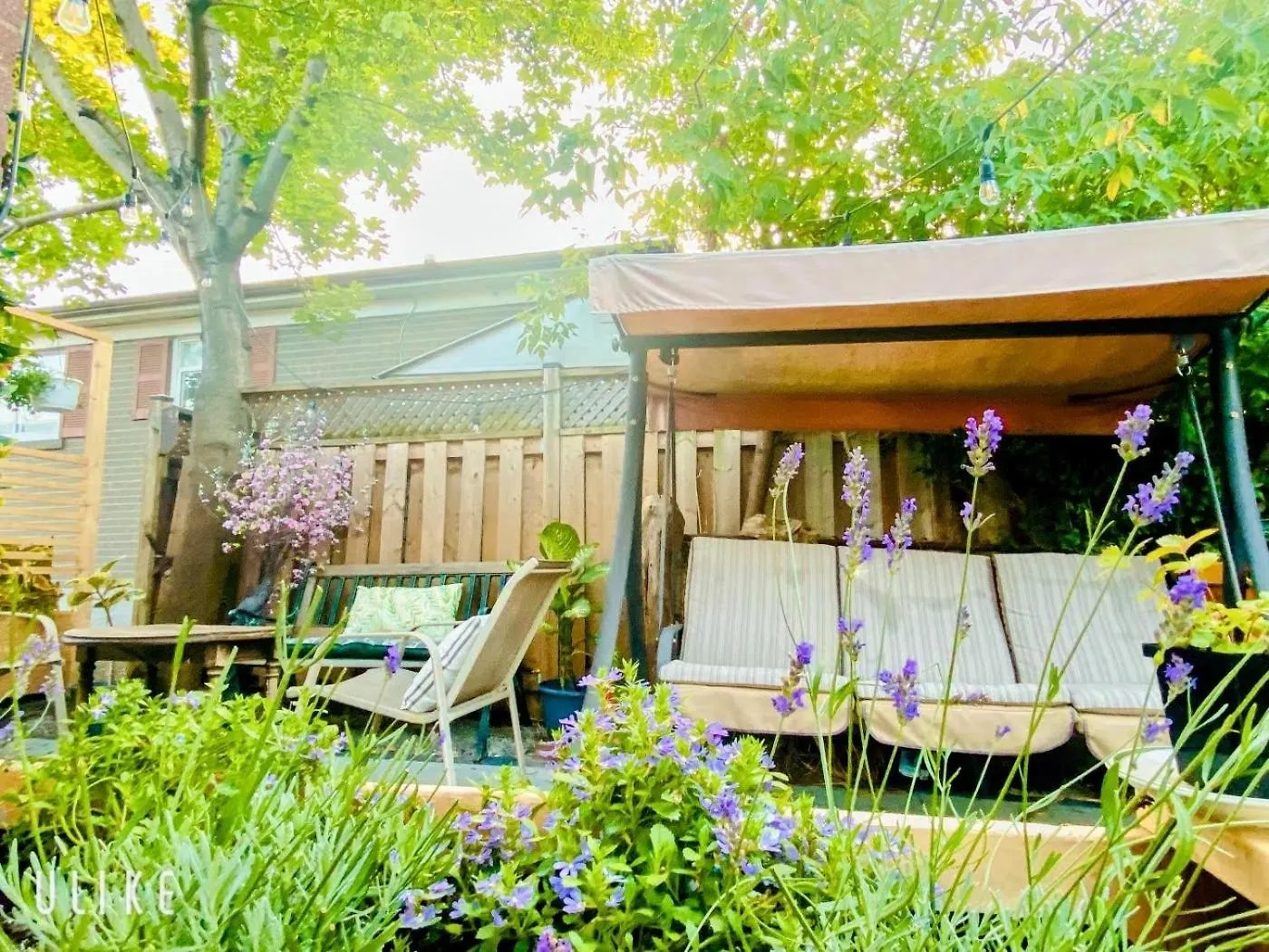 Toronto Bed & Breakfast - Free Parking Canada